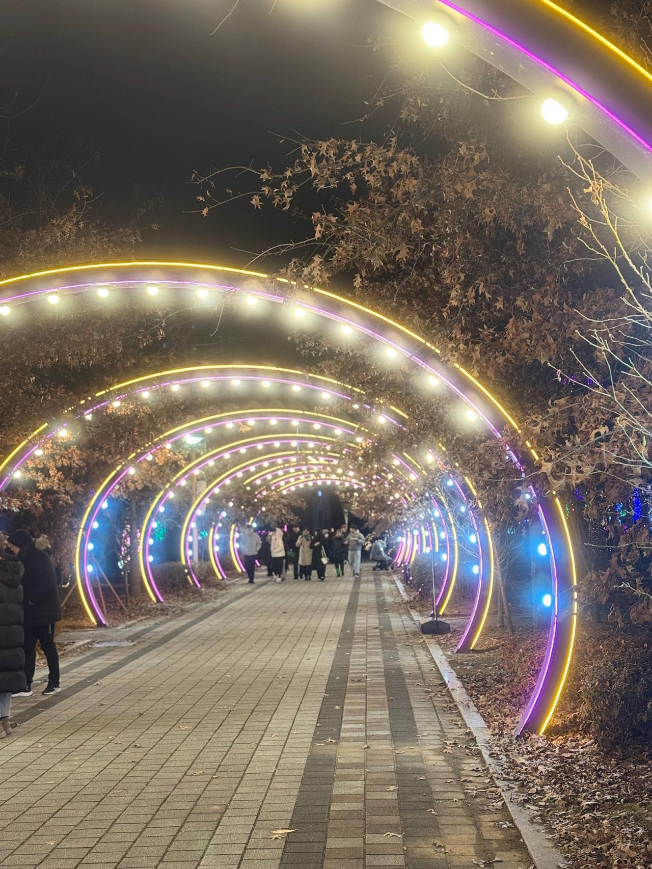 2024년 세종빛축제 개막식에 다녀오다 사진2